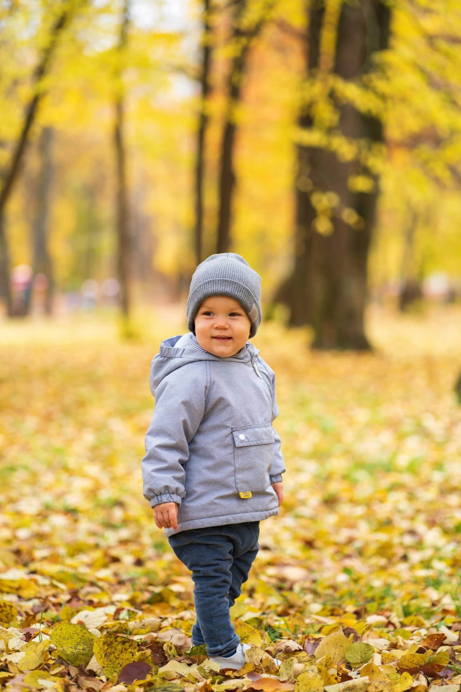 Kleiner Junge steht im Wald mit gelben Blättern